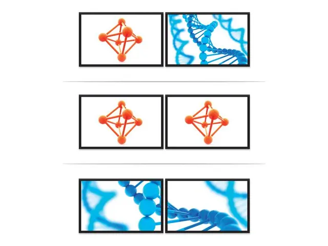 Usb-c Naar Displayport Multi-monitor Splitter 2-Poorts Mst Hub