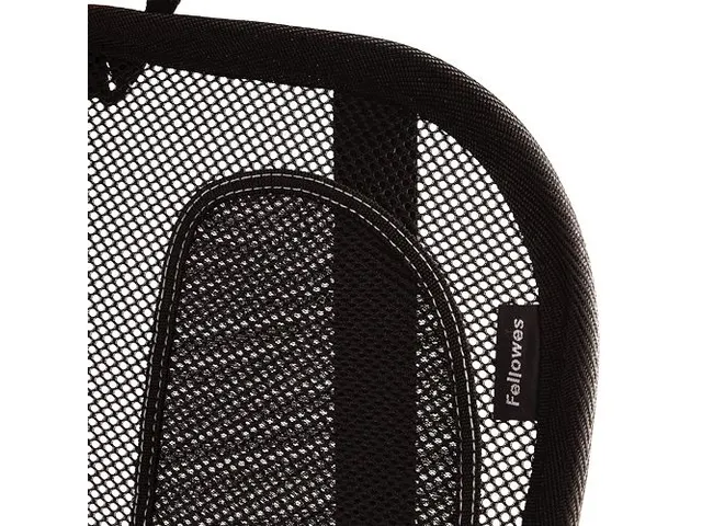 Rugsteun Fellowes Office Suites Gaas 512x409x141 mm zwart