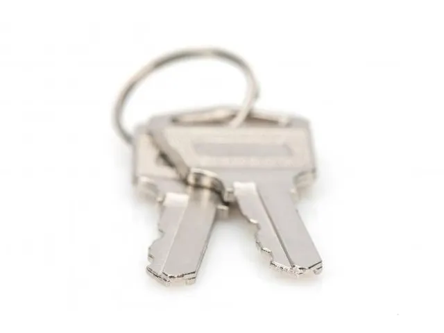 Sleutels voor laadkasten, DN-45002, DN-45005 DN-45006, 2 stuks