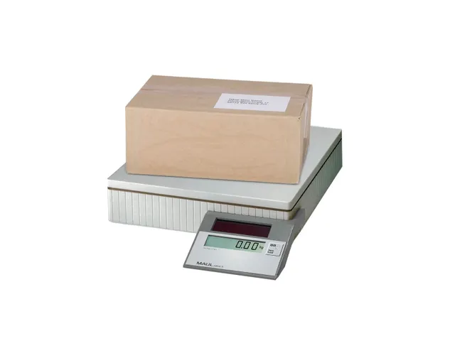 Pakketweger MAULparcel S solar 50kg