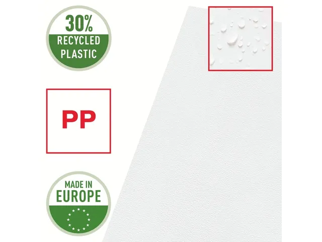 Insteekmap L-model Esselte standaard copy safe PP A4 transparant