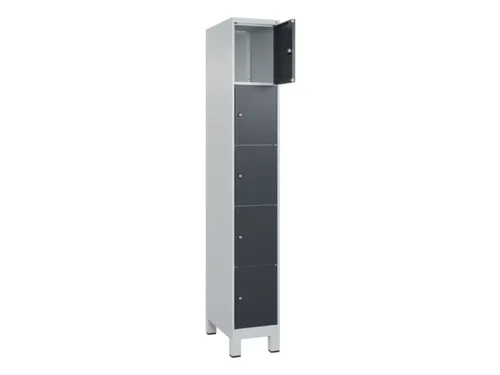 lockerkast,HxBxD 1950x300x500mm,1x5vakken,vak B 300mm,cil.-slot,voeten
