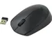 B170 Muis Zwart Draadloos