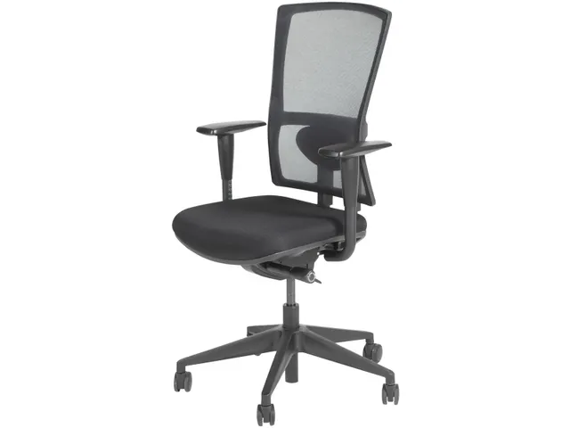 Bureaustoel 300 NEN-EN 1335 Mesh rug zwart kunststof voetkruis Zwart