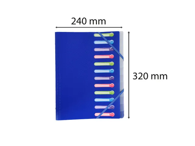 Sorteermap PP venste rs 12 vak geass.