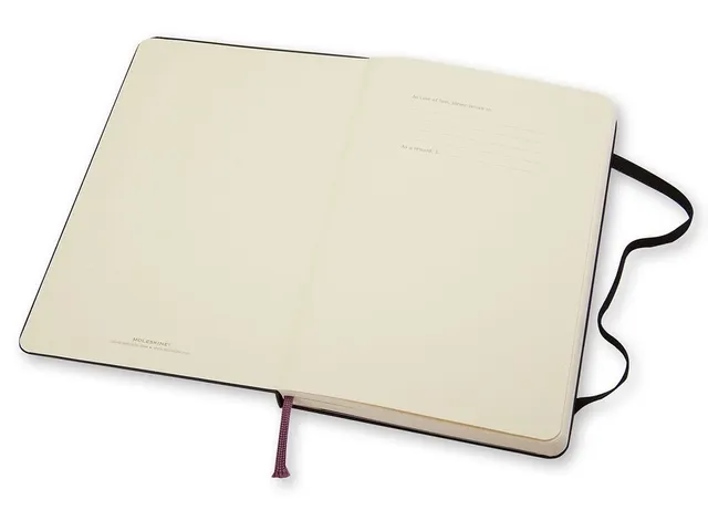 Notitieboek Moleskine large 130x210mm blanco hard cover zwart