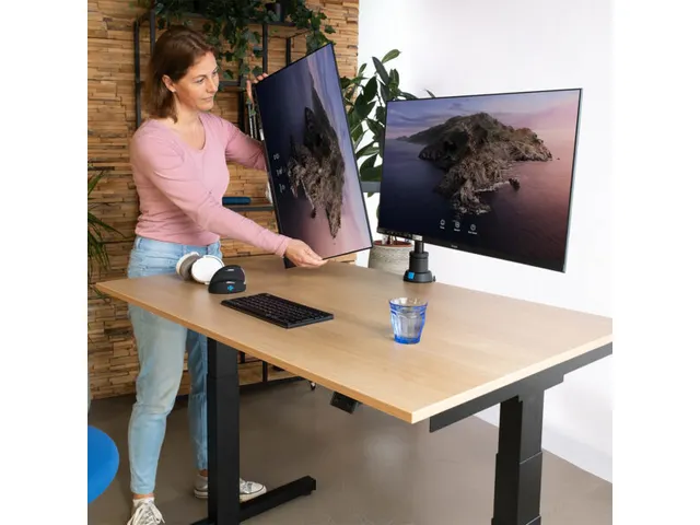 Dubbele Monitorarm R-Go-Tools Caparo 4 gasveer 2 beeldschermen Zwart
