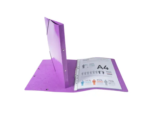 Ringmap IDERAMA A4 2R 15mm paars