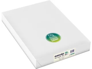 Evercolor gekleurd Gerecycleerd Papier A3 Ivoor - 2