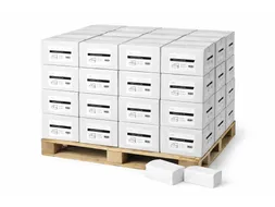 Handdoekjes Z-vouw cellulose 2-laags wit 21x24 cm Pallet 36 Doos