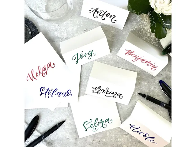 Rollerball Schneider One Sign pen zwart