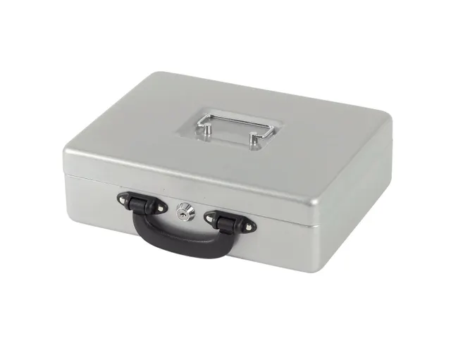 Geldkist met Euro muntinzet Zilver