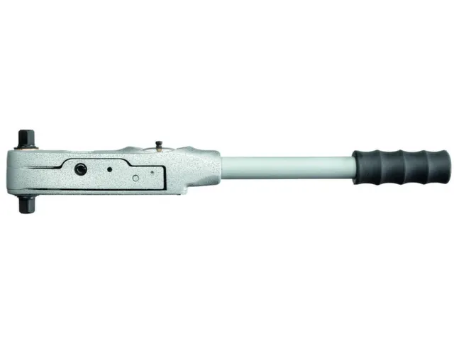 BDS 80 E Momentsleutel 1/2 inch 16-80 Nm