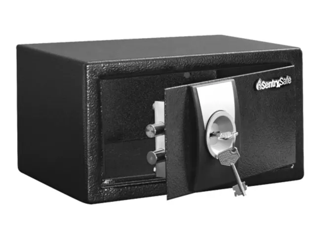 Sentry Safe Kluis X031