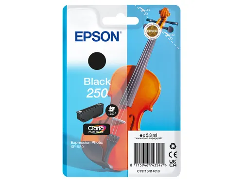 Inktcartridge Epson 250 T16N14 zwart