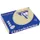 Trophée Pastel gekleurd papier A4 160 gram 250vel Chamois gems
