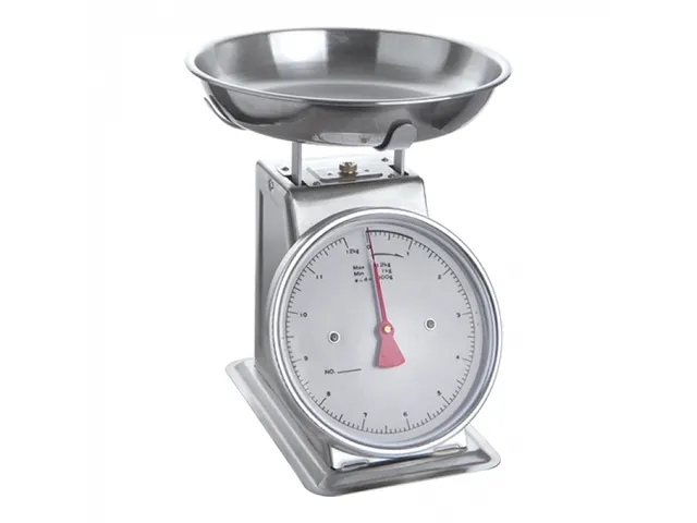 Weegschaal rvs kom 12kg