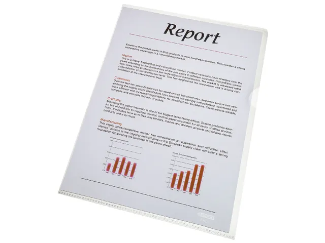 Insteekmap L-model Esselte standaard copy safe PP A4 transparant