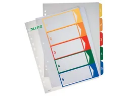 Esselte Pc Printbaar Project Indexen A4+ 11-Gaats 5-Delig Assorti