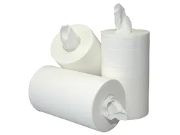 Poetsrol Blanco Mini 2-Laags zonder koker 20cmx60m 12rol