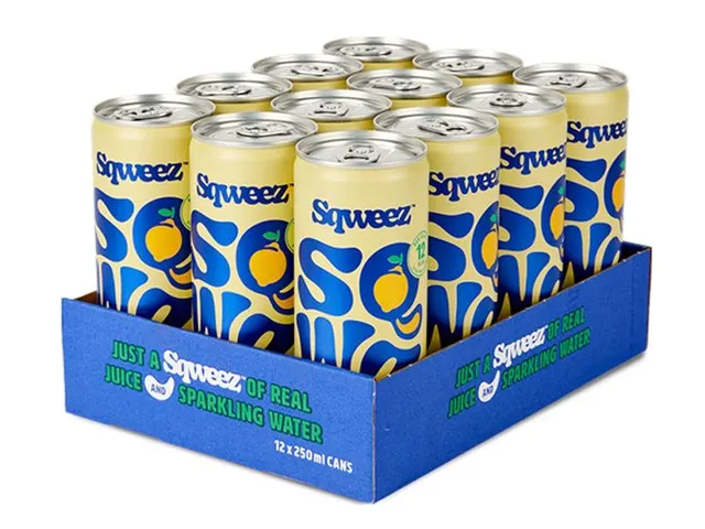 Frisdrank Lemon Ginger BIO Blik 25CL Pak van 12 Stuks