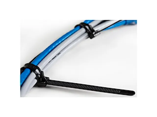 20cm Herbruikbare Kabelbinders zwart nylon 100 stuks