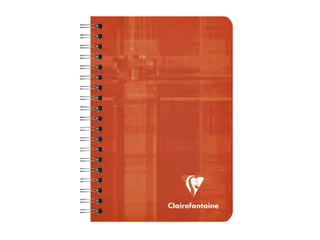Notitieboek Clairefontaine A7+ 95x140 ruit 5x5 100blz 90gr assorti - 5