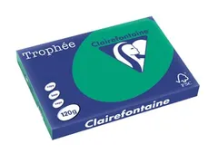 Trophée Intens gekleurd papier A3 120 gram 250vel Dennengroen