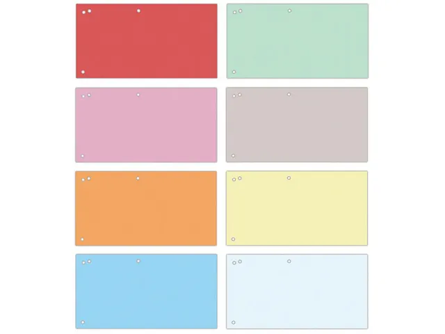 Intercalaires, 240 X 105 Mm, Paquet De 100 Pièces, Couleurs Assorties