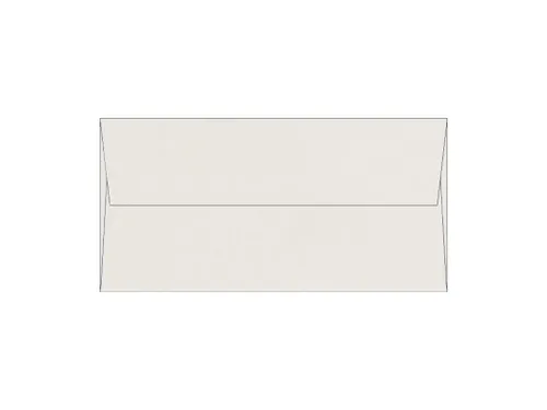 Envelop DL 110x220mm Curious Translucents Clear 97µm 250 Stuks
