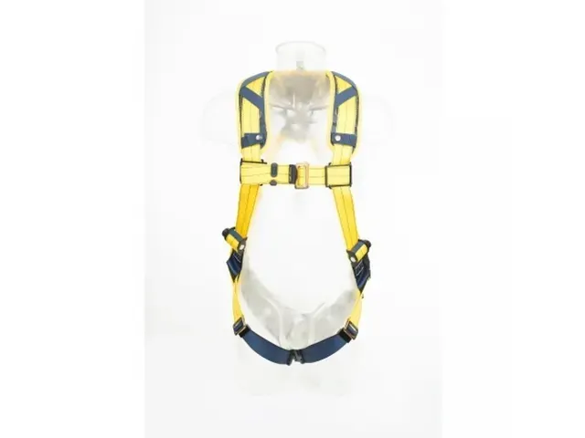 3M DBI-Sala Delta 1112920 harnasgordel met snelsluitgespen, maat XL, p