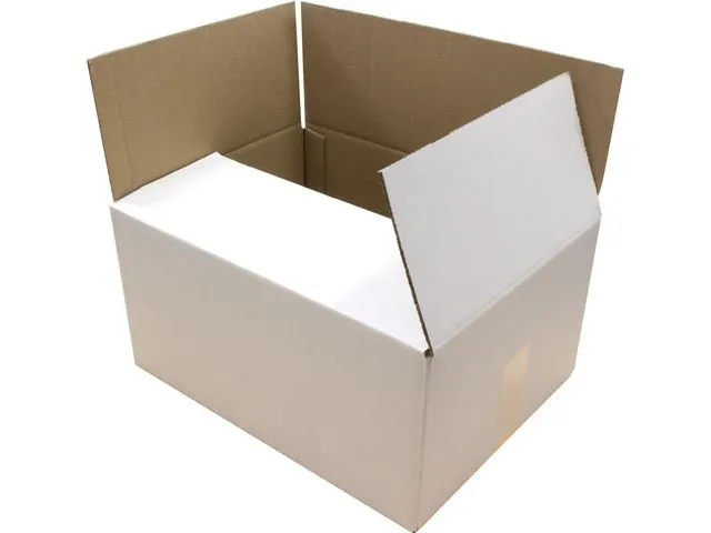 Verzenddoos Raadhuis 285x190x100mm EB-golf wit