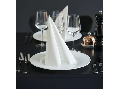 Dunilin servet 48x48cm 1/4 vouw Wit 6x36stuks