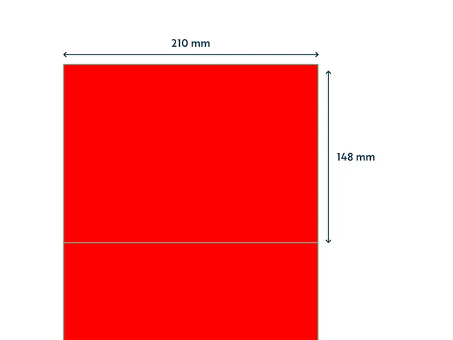 Etiquette Rillprint 210x148mm rouge fluo 200 étiquettes
