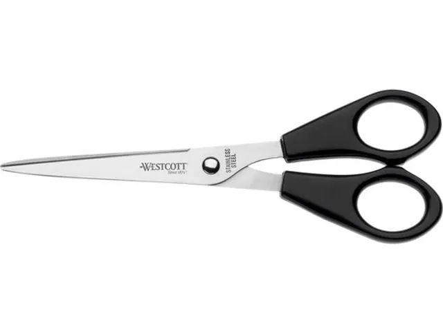 Schaar Westcott Buro RVS 15,5 cm kunststof grip in zak
