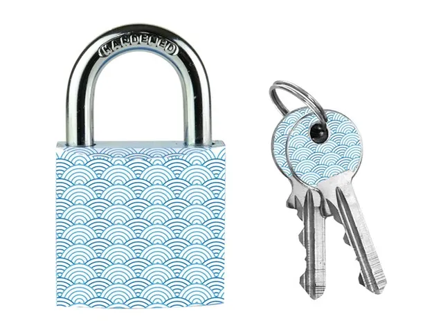 Hangslot Masterlock 30mm golven motief met 2 sleutels