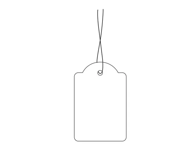 HERMA 6918 Hanglabel 32x50mm Wit karton met Rood draad 1000 stuks