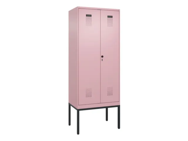 locker voor scheiding van kleding,HxBxD 2120x800x500mm,2vak