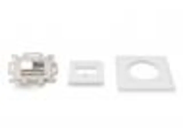 Frontpaneel en Montageframe Voor Multimedia-/Keystonemodules Wit