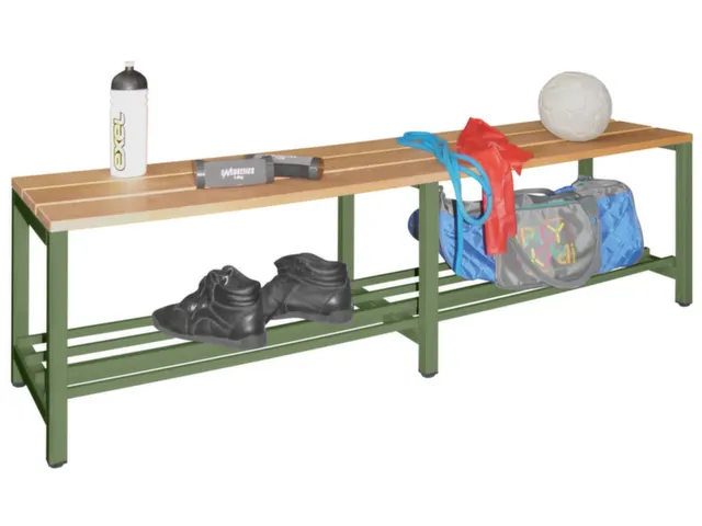 banc-patère,LxP 1500x370mm,barrettes en bois hêtre,piètement RAL601