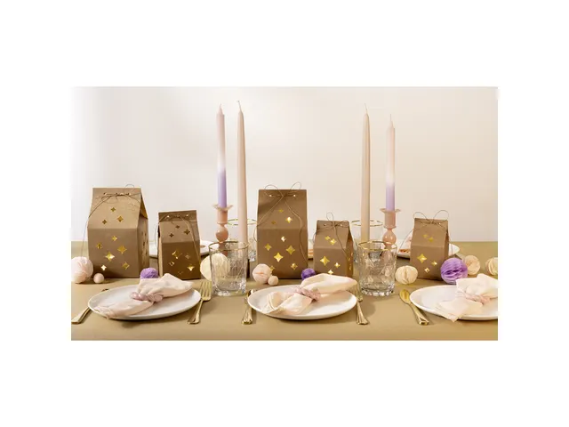 Giftbox Folia Star kraft set à 6 stuks