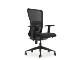 Bureaustoel serie 250 NEN-EN 1335 Zwart Mesh en Zwart voetkruis - 1