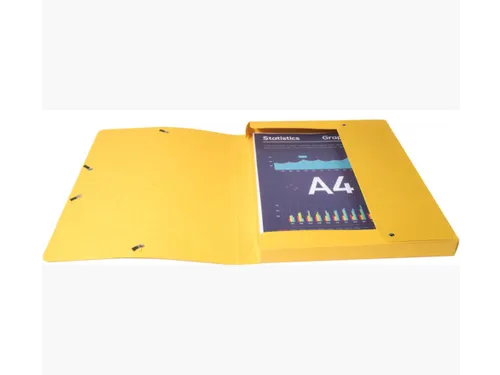 Elastobox Exacompta A4 25mm 600gr assorti karton