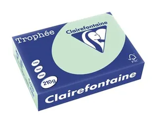 Trophée Pastel gekleurd papier A4 210 gram 250vel Groen - 2