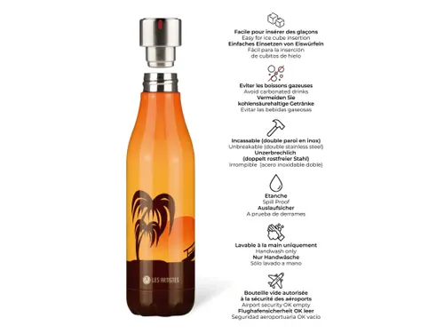 Thermosfles Les Artistes Paris 500ml Sunset