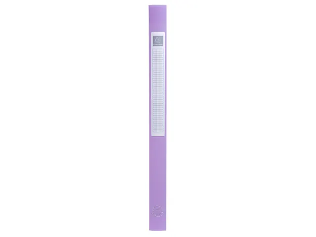 Boite de classement Exabox Dos 25mm Polypropylène 7/10e Chromaline pa