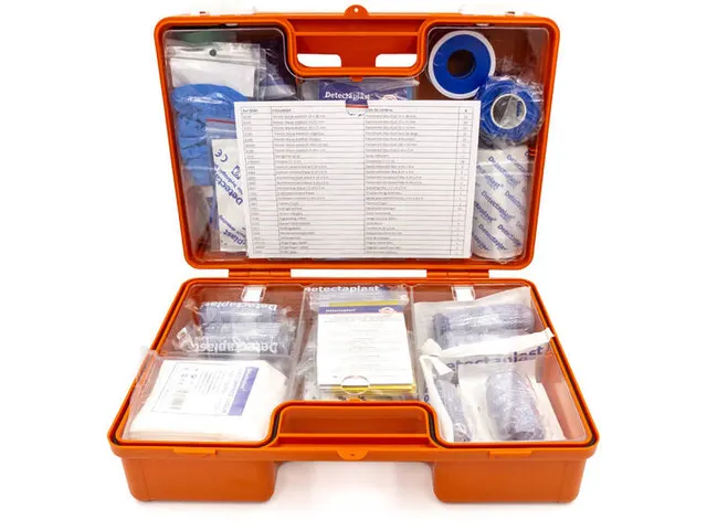 Detectaplast 9040 EHBO Medic Box food XL