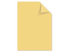 Papier Kangaro A4 160grs donkerchamois pak 50 vel