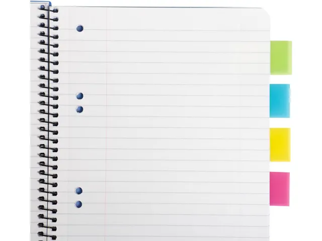 Quick Tabs 25x45mm 4 Kleuren 40 Tabs Per Kleur