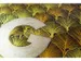 Papier Aquarelle Kangaro A2 300g 12 feuilles 3 côtés collés Noir